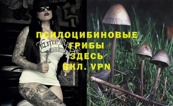 ГАЛЛЮЦИНОГЕННЫЕ ГРИБЫ Наволоки