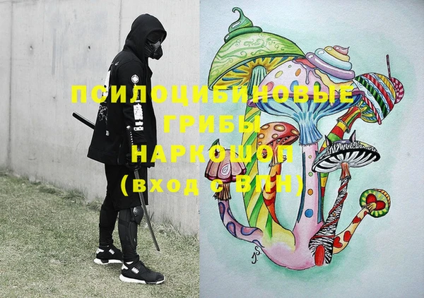 PSILOCYBIN Навашино