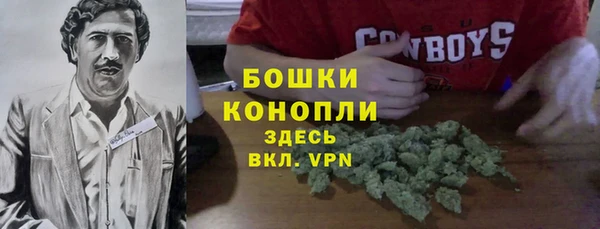 ГАЛЛЮЦИНОГЕННЫЕ ГРИБЫ Наволоки